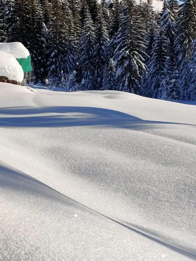 Chalet Tabiarel Frühstückspension